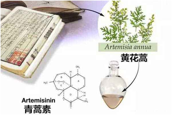 完美体育,（中国）网站首页：向中医药看齐，与世界共享中医药文化(图1)